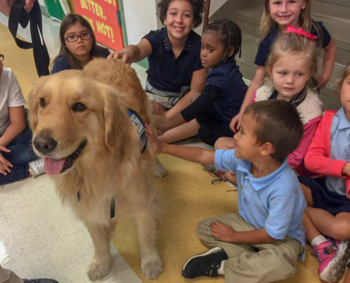 reading program dogs