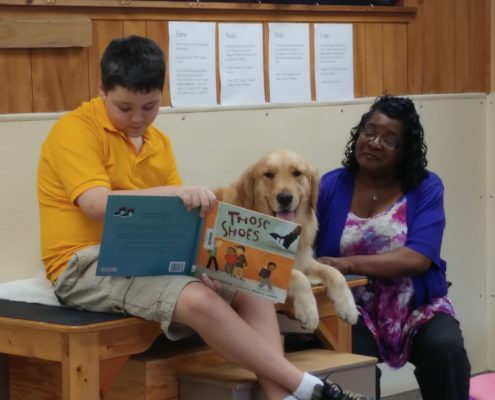 reading program patriot dogs