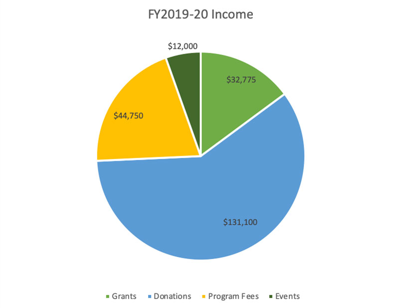 Income FY 2019-2020